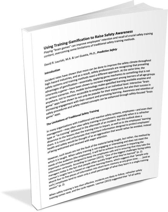 Whitepaper Training Gamification